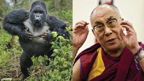 Heresyofthe14thDalaiLama