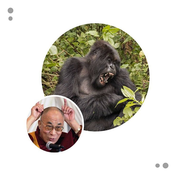 heresyofthe14thdalailama2