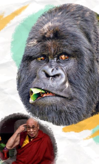 Heresyofthe14thDalaiLama3