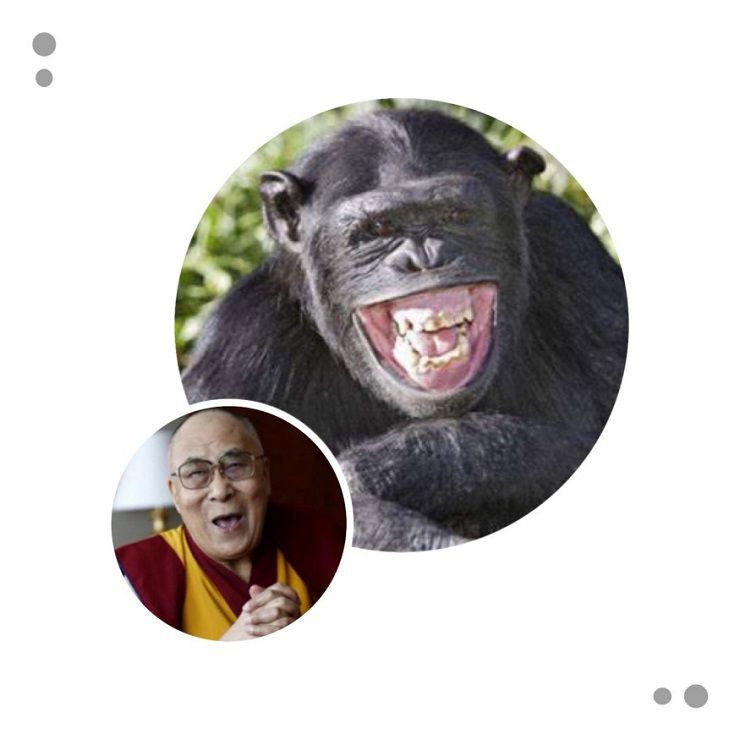 Heresyofthe14thDalaiLama4