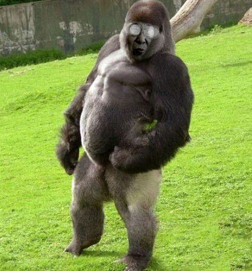 Heresyofthe14thDalaiLama7