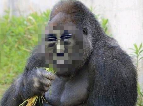 Heresyofthe14thDalaiLama5